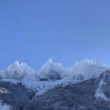 公寓 Chamonix, Charming & Balcony *